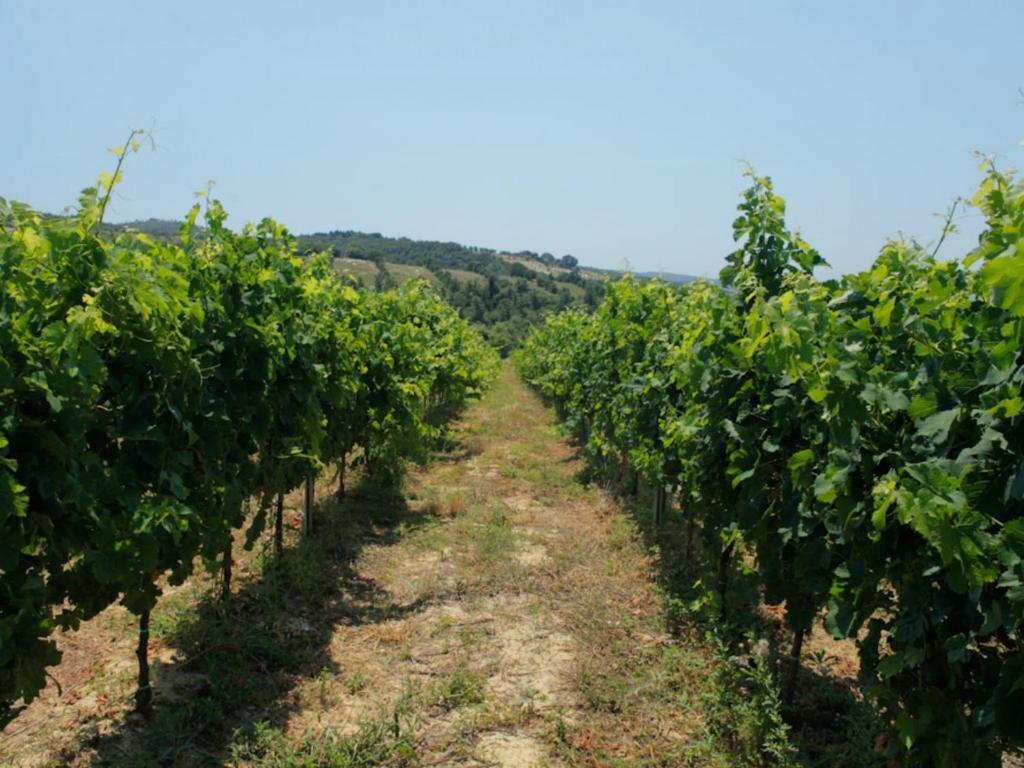 Tenuta Ponziani Wine Resort&Spa Morrano Exteriér fotografie